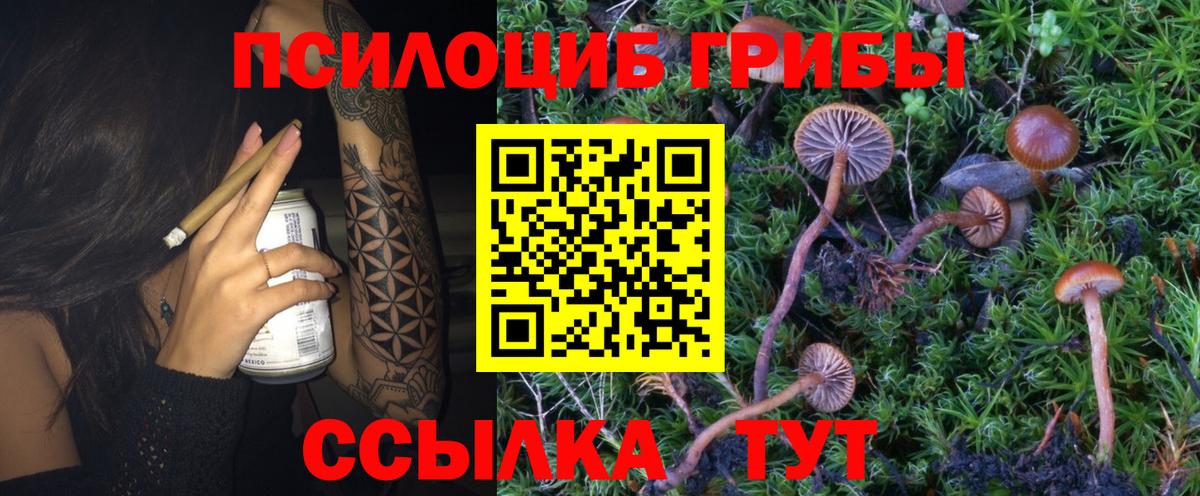 Галлюциногенные грибы мухоморы Альметьевск